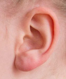 אוזן אנושית